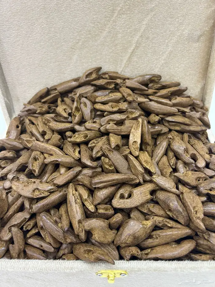 جميع انواع العود الطبيعي والمحسن 10