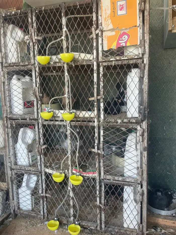 محاكر حديد 0