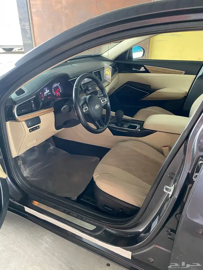 كادينزا 2017 6