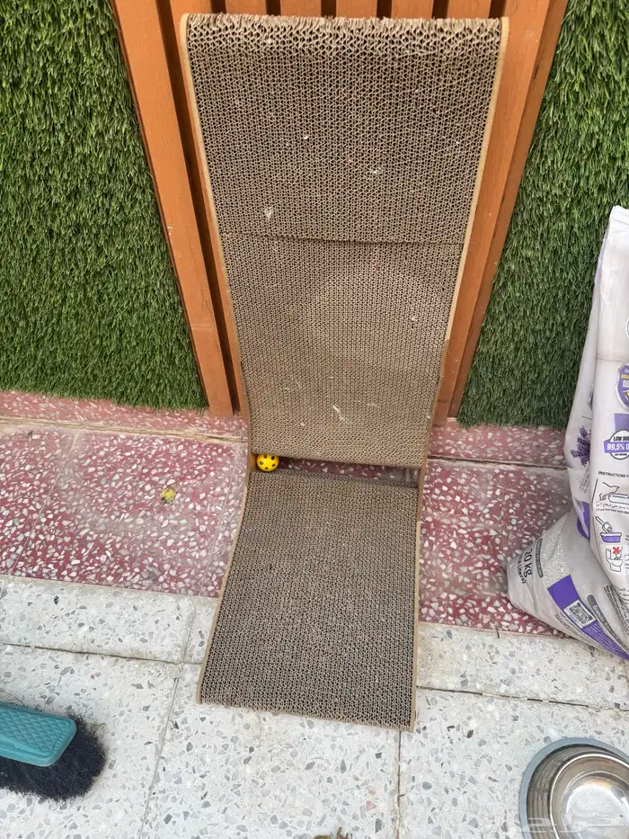 ادوات للقطط للبيع 4