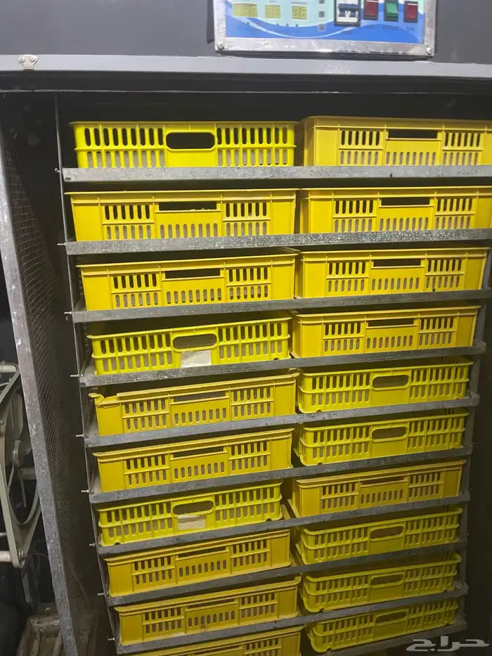 فقاسة عون المربي 1