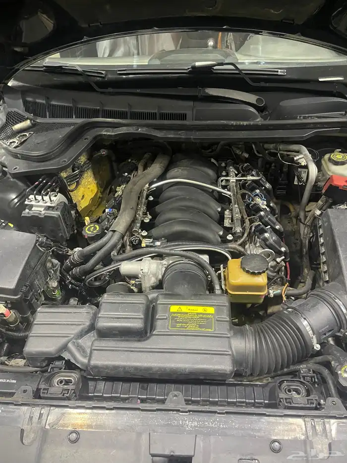 لومينا SS 2007 6