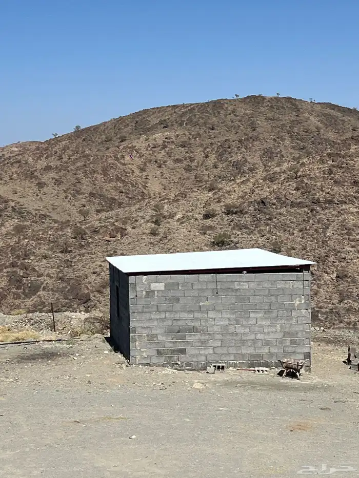 هنقر نضيف راكب له 3 شهور 8 في 5 0