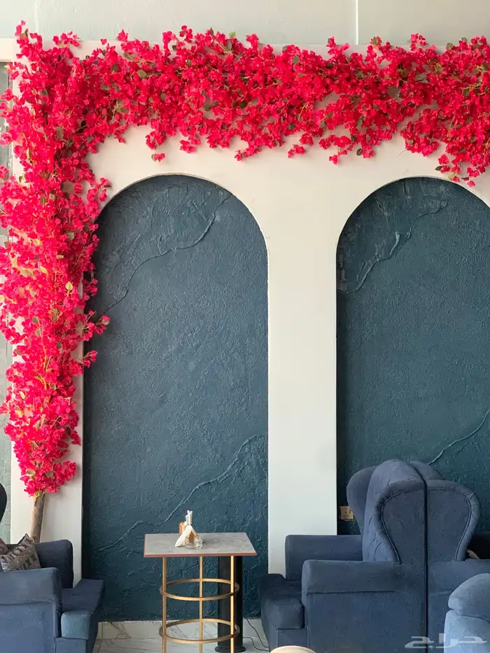 اشجار جهنمية وزيتون 5