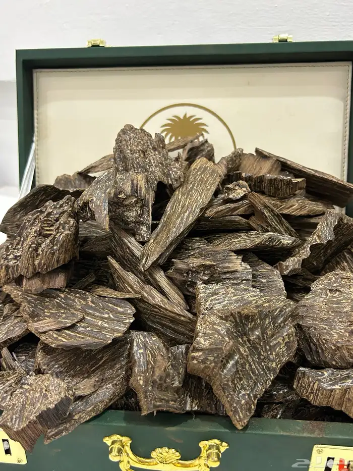 جميع انواع العود الطبيعي والمحسن 6