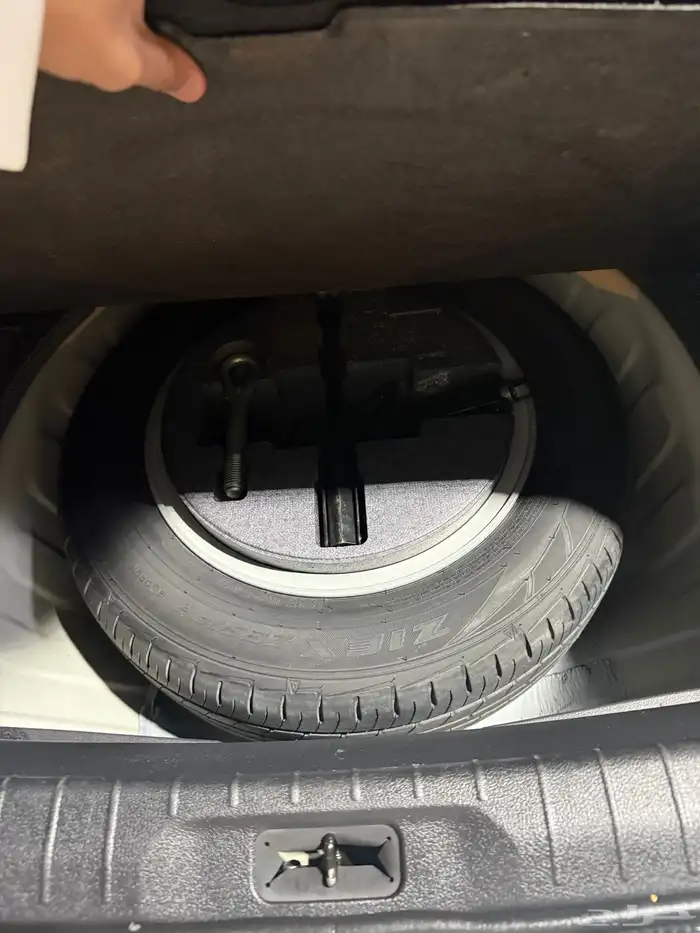 للبيع التيما 19