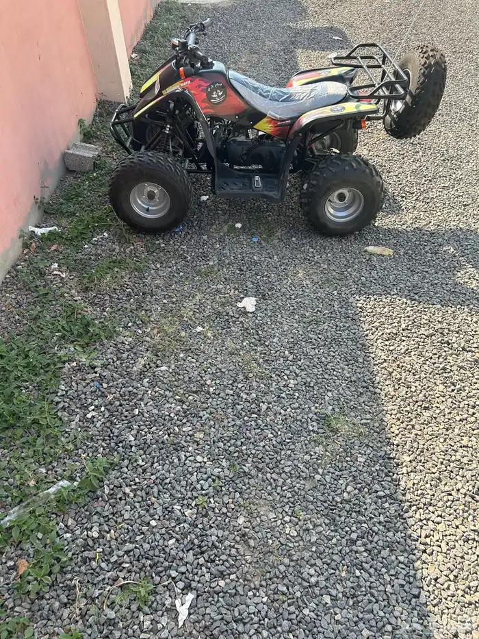 دباب تايواني سويدي مودل2025 1