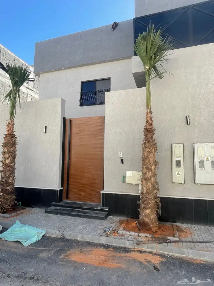 نخيل واشنطن للبيع 4