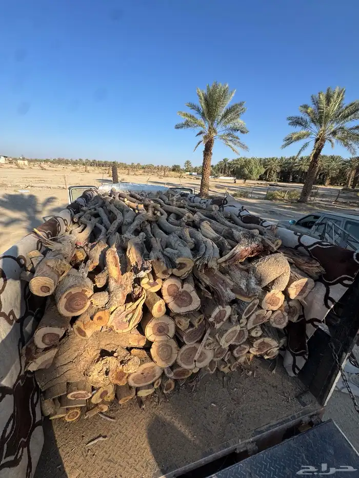 سمر شلايخ مبروم شبوب 1