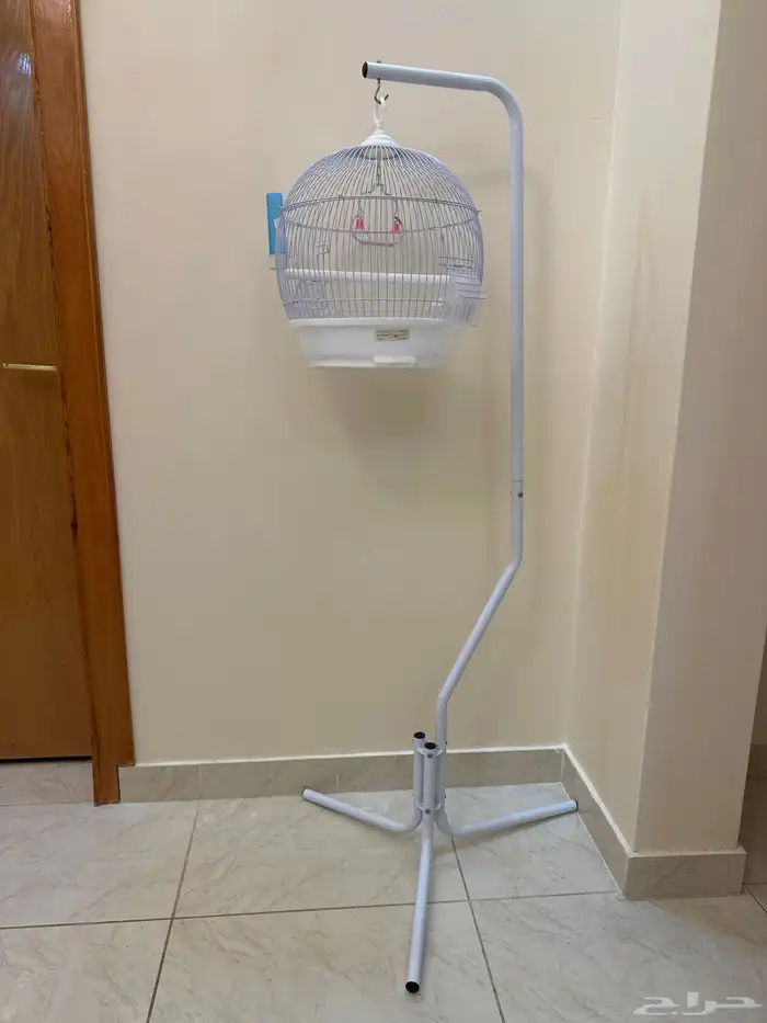 قفص عصافير 0