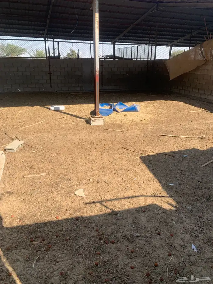 شبك غنم وغرفه بخدماتها للإيجار 1