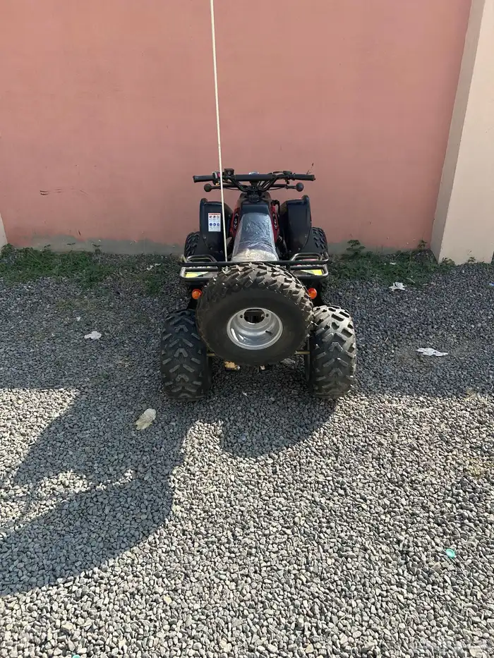 دباب تايواني سويدي مودل2025 2