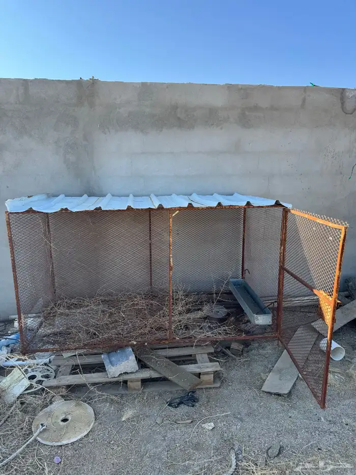 شبوك للبيع 0