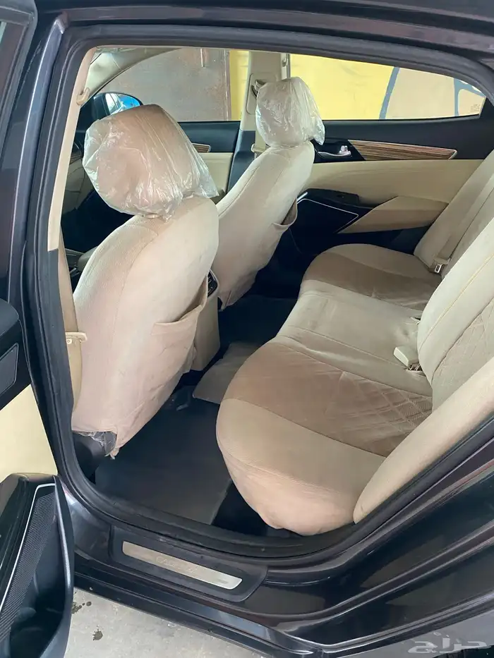 كادينزا 2017 7