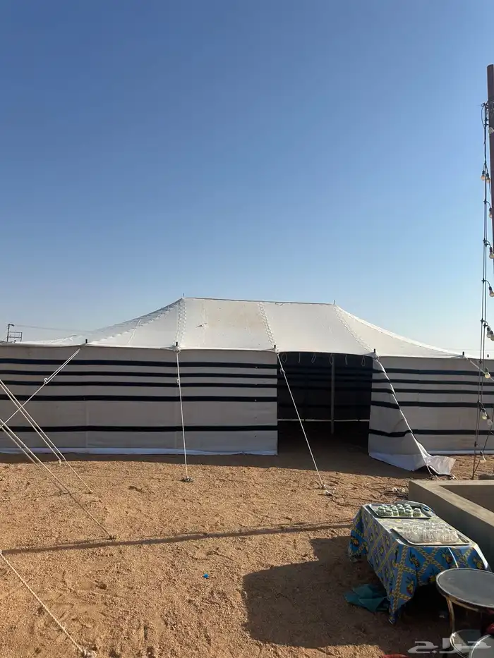 بيت شعر البيض 4