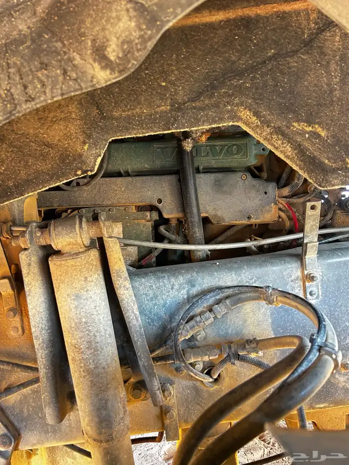 وايت فلفو سكس 2003 8