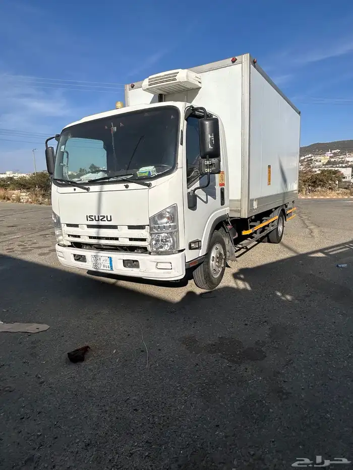 دينا ايسوزو 2014 للبيع 10