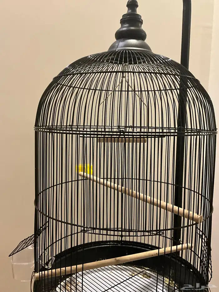 قفص طيور 1