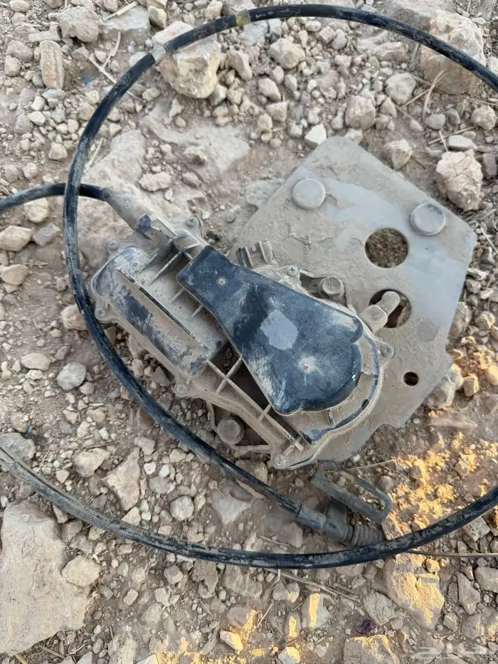 قطع دينة دنه دينا 9