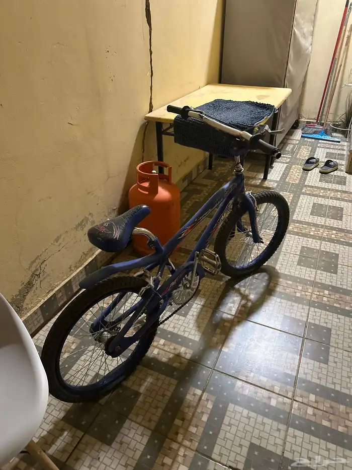 سيكل الزرق كوبرا 1