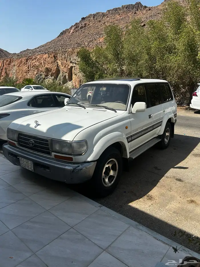 في اكس ار فل الفل بدي بلد تماتيك 7