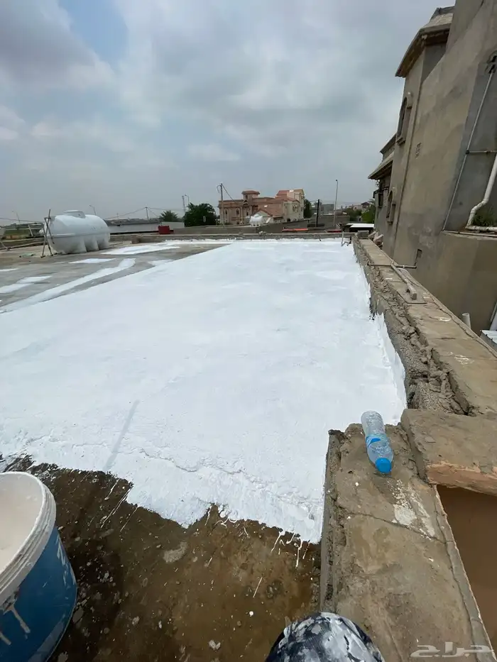 جميع اعمال الدهانات عوازل ديكورات 17