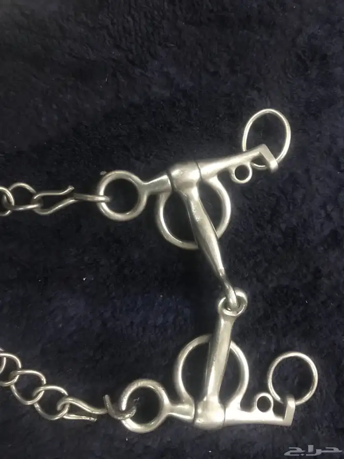 شكيمه سلسله والبيع سمع 0