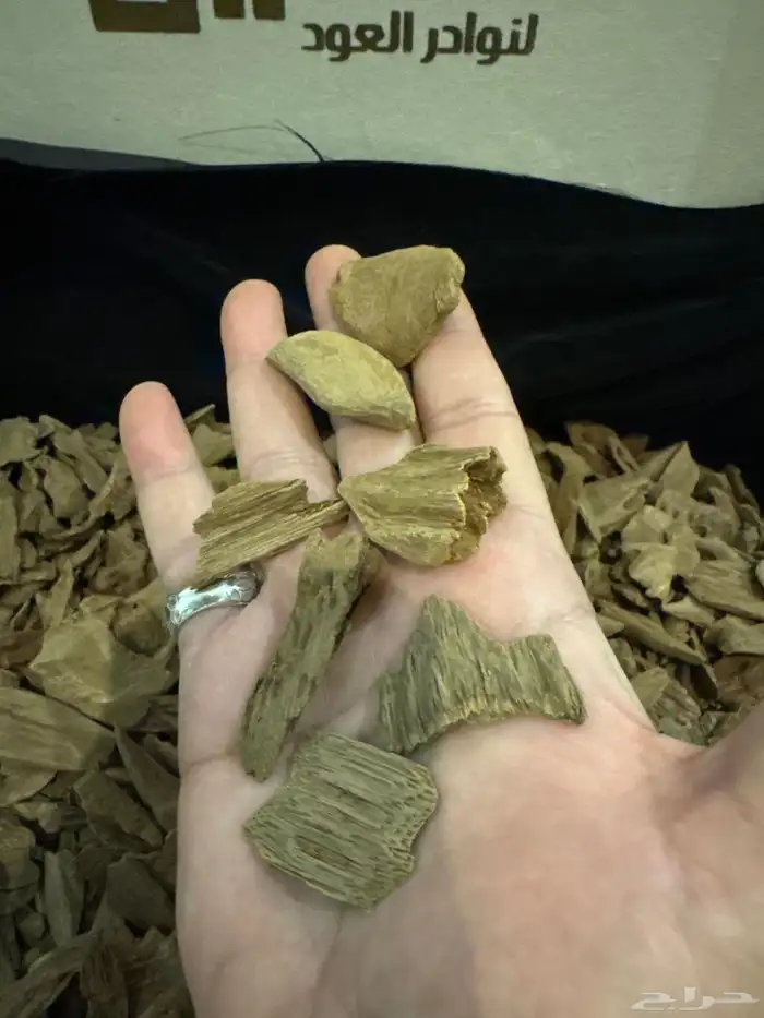 عود مروكي طبيعي 100   100 فخامه لا متناهيه 3