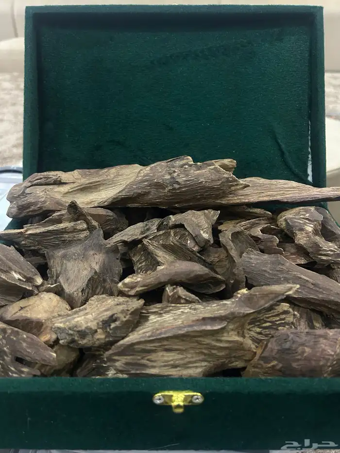 جميع انواع العود الطبيعي والمحسن 4