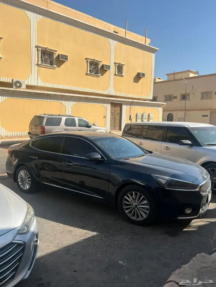 كادينزا 2019 2