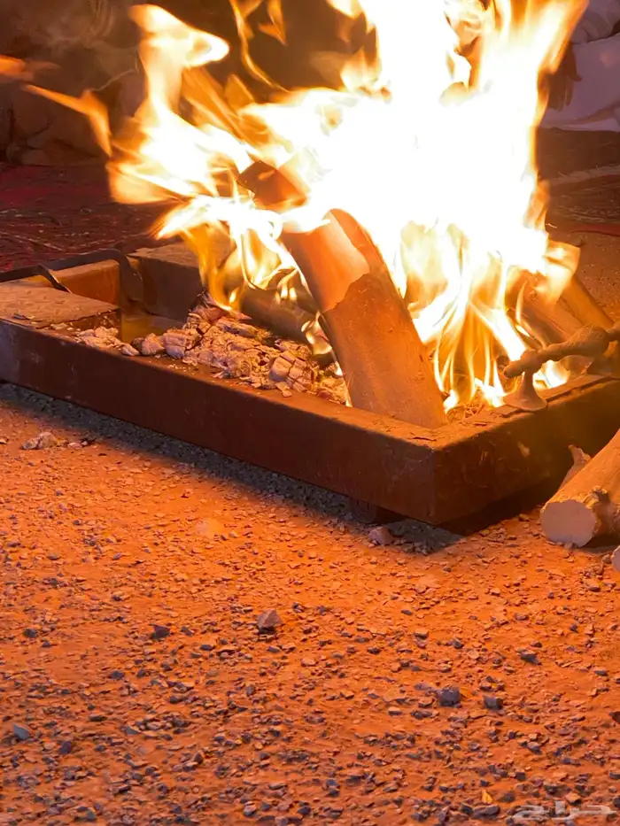 حطب محلى من اشجار الليمون 1