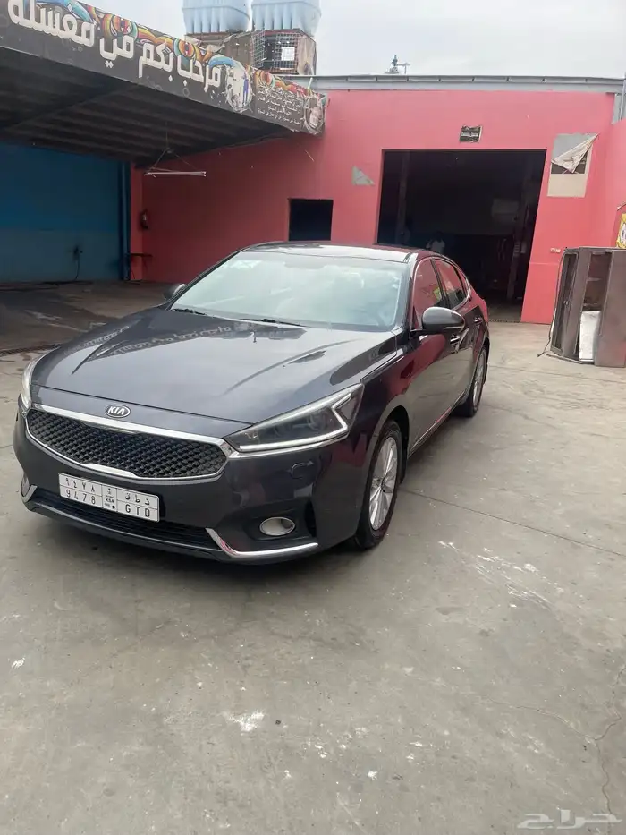 كادينزا 2017 1