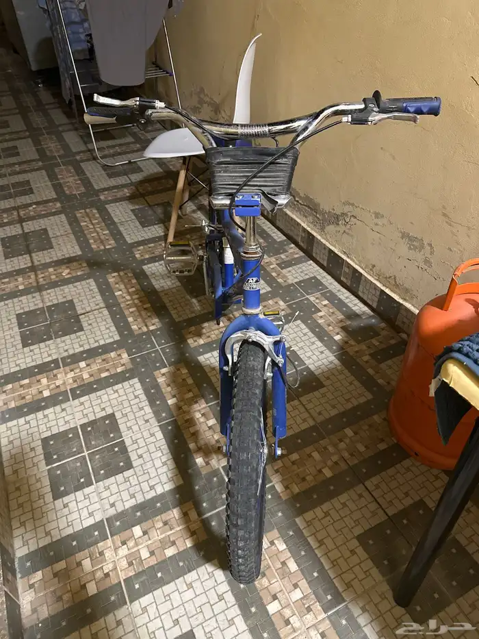 سيكل الزرق كوبرا 0