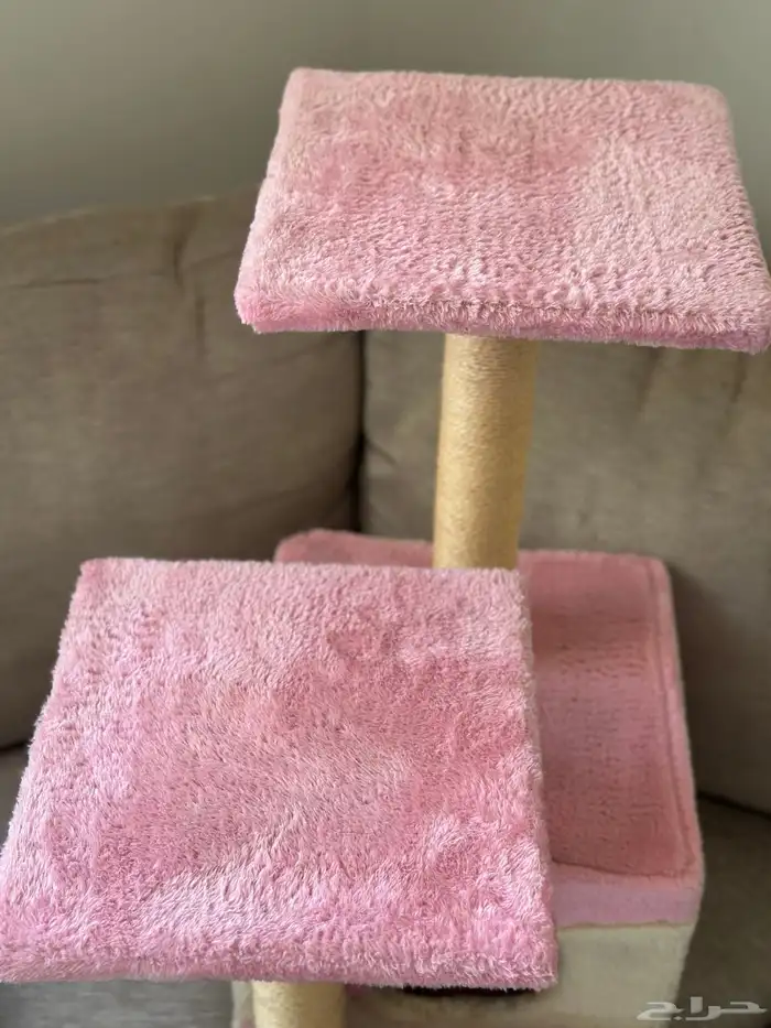 مستلزمات قطط   بيت قطط 4