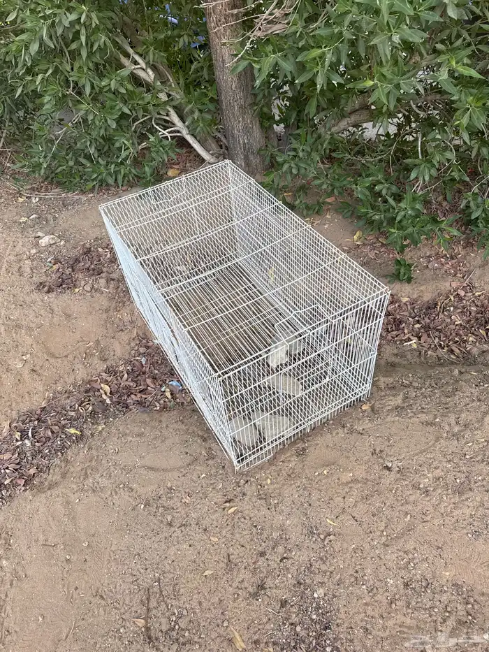 للبيع شبك سمان صوص ارانب طيوروغيرها البيع مستعجل. السعر 15 1