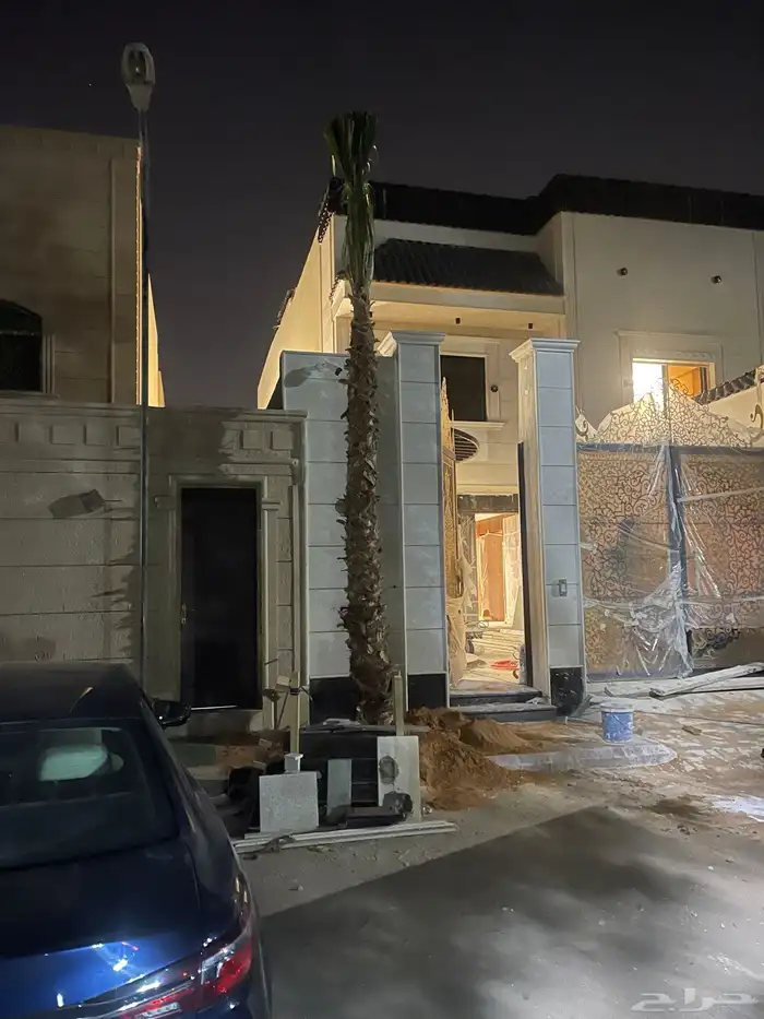 نخيل واشنطن للبيع 7