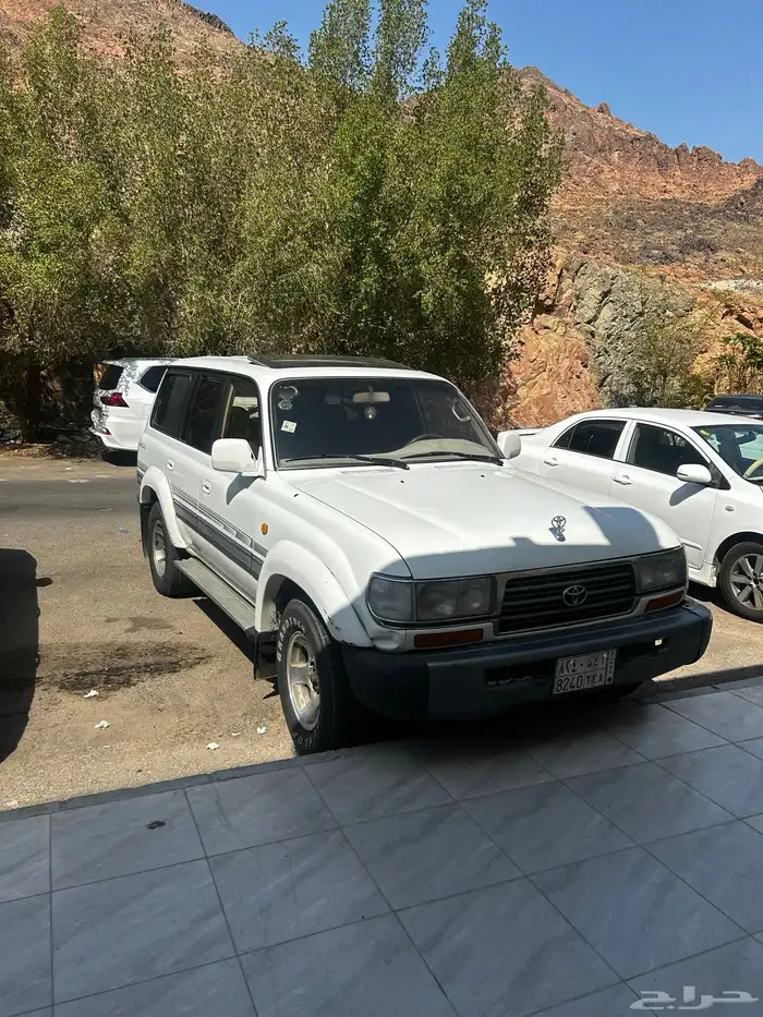 في اكس ار فل الفل بدي بلد تماتيك 6