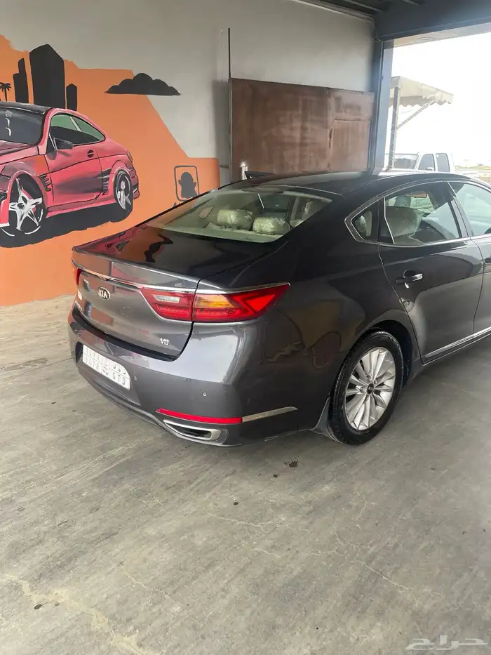 كادينزا 2017 4