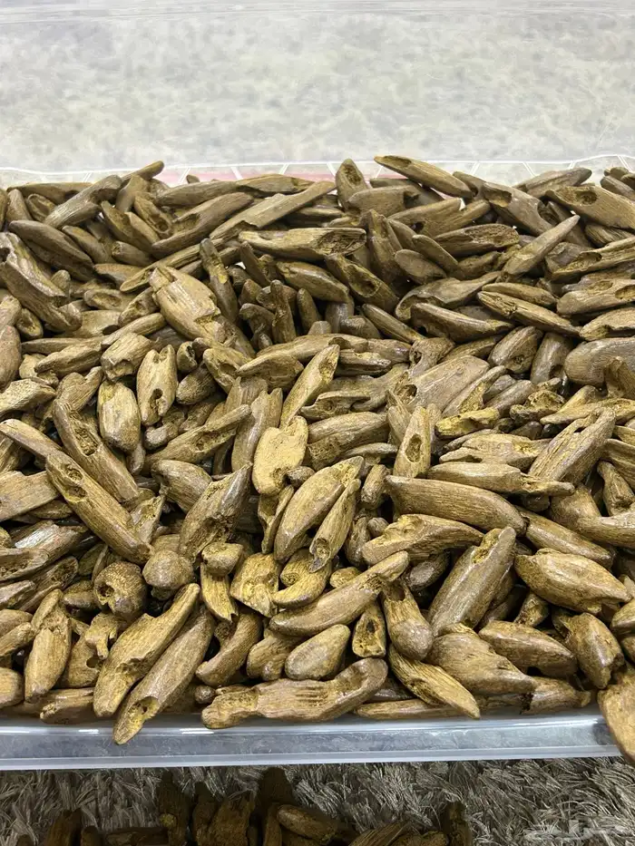 جميع انواع العود الطبيعي والمحسن 5