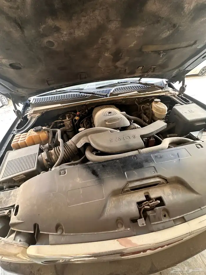 جمس مديل. 2005 4