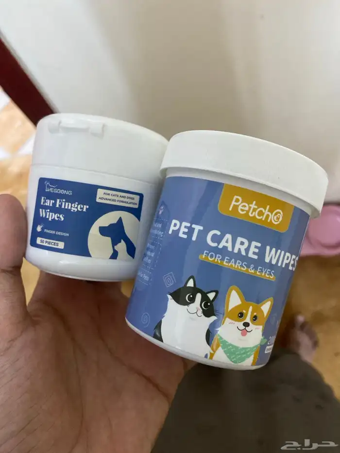 قطه مطعمه مع اغراضها 3