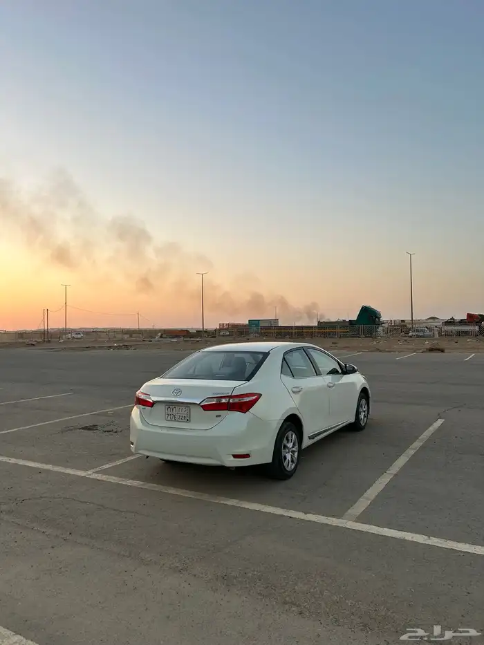 كورلا14 نص فل 2