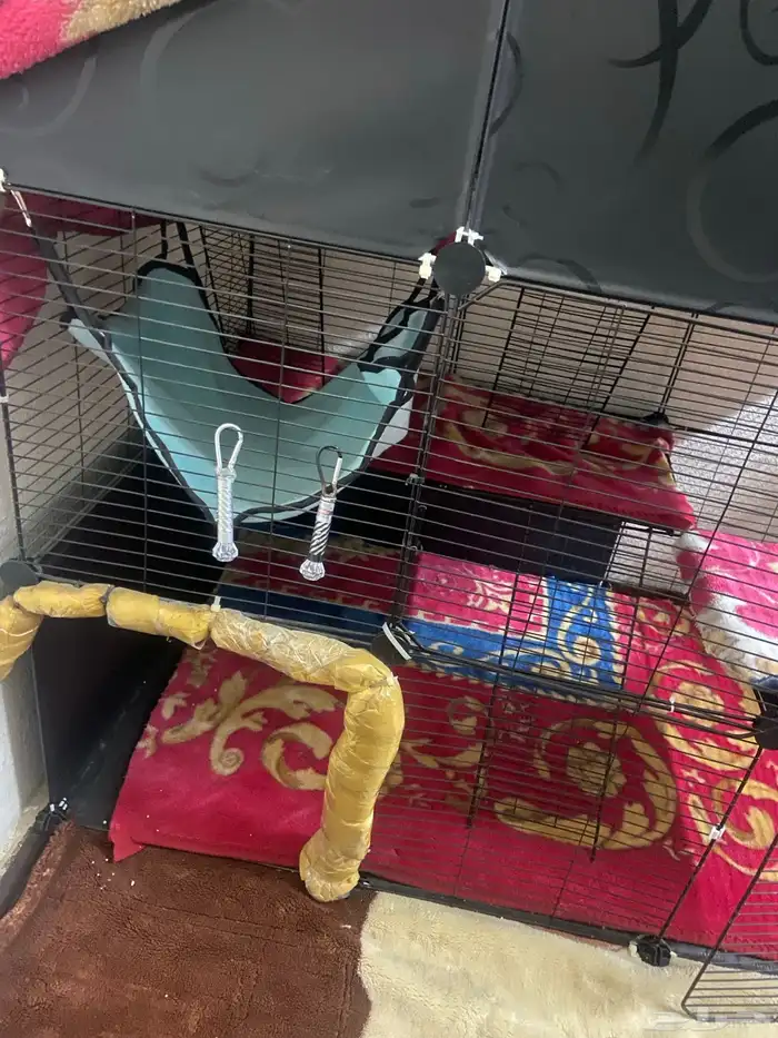 قفص كبير للقطط للبيع 100 1