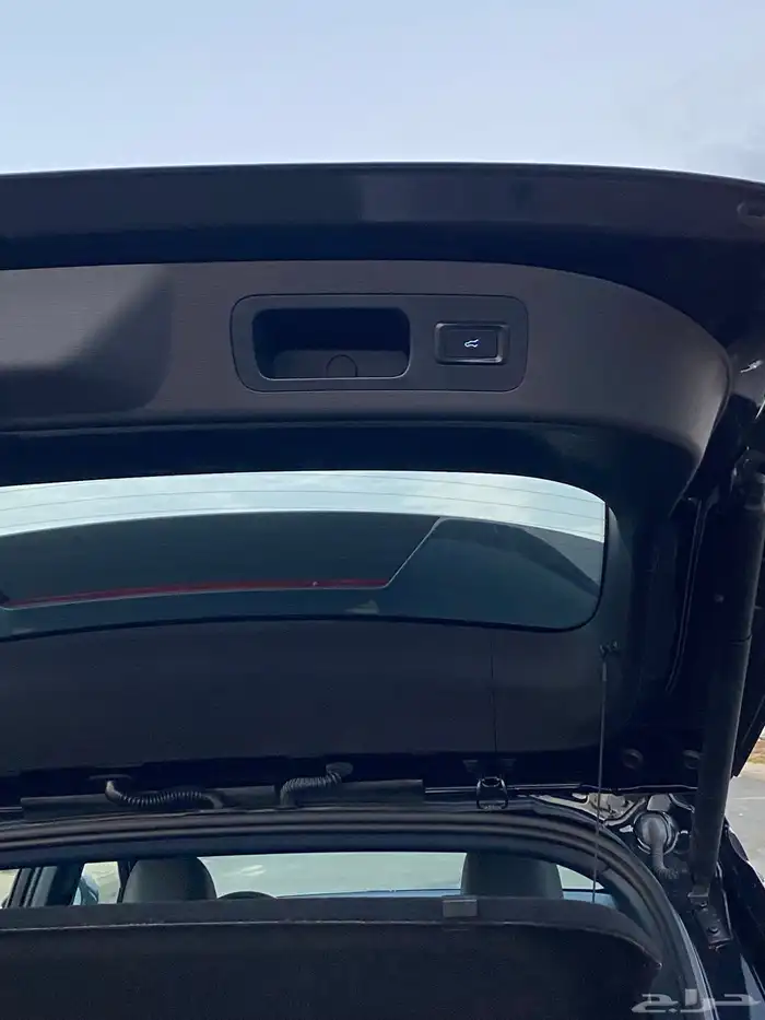 فورد تيريتوري 2024 19