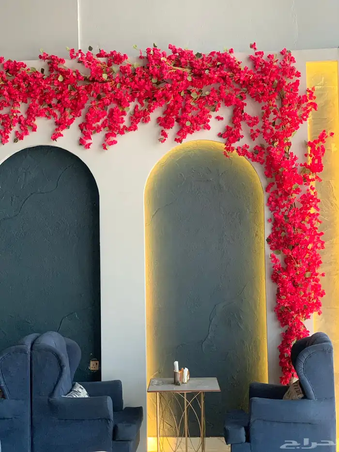 اشجار جهنمية وزيتون 6