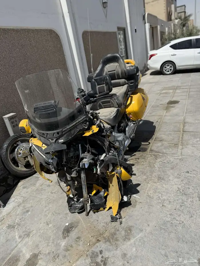 قطع قولد وينق 0