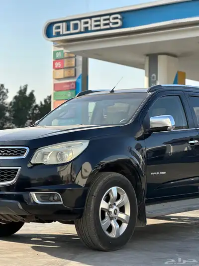 2013 Trailblazer index