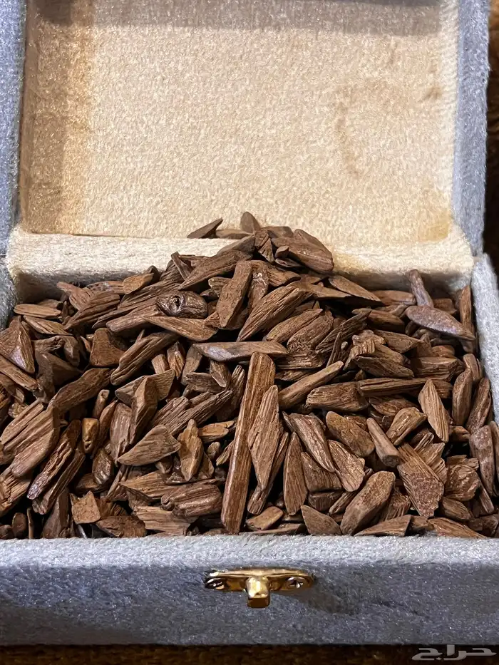 عوده دقة مروكي 0