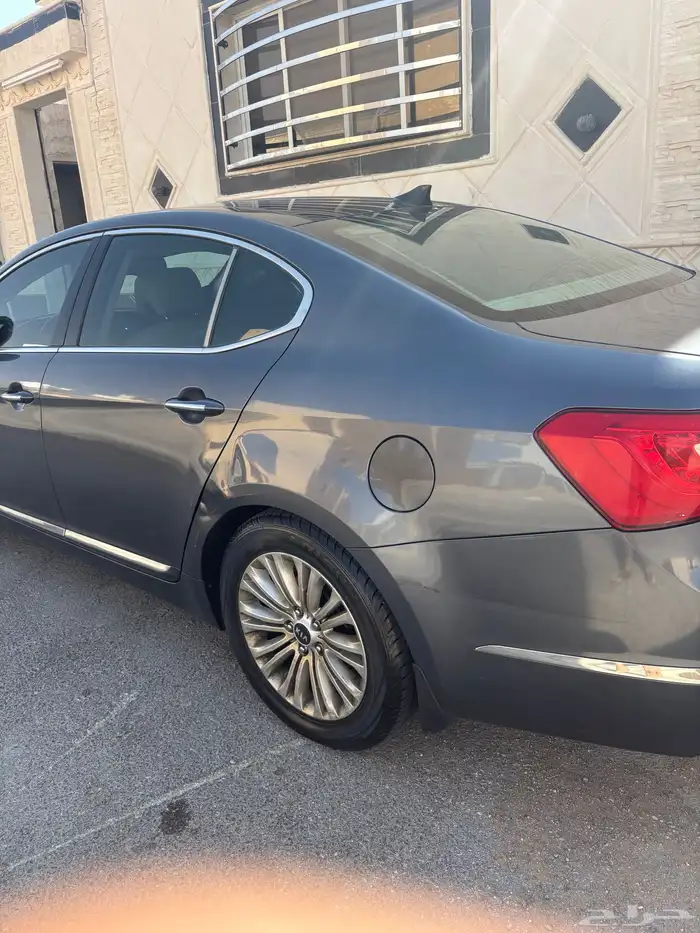 كادينزا للبيع 2016 8