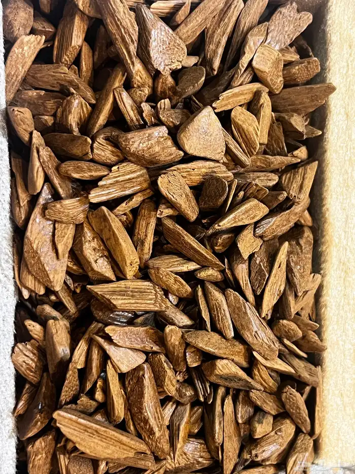 عوده دقة مروكي 1